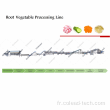 Machinerie de traitement des légumes à feuilles